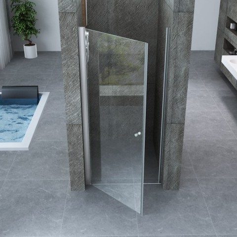 Swing shower door transparent glass 8mm in various sizes PR031